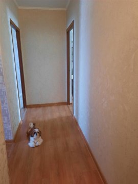 2-к квартира, 3/5 эт., 43м²